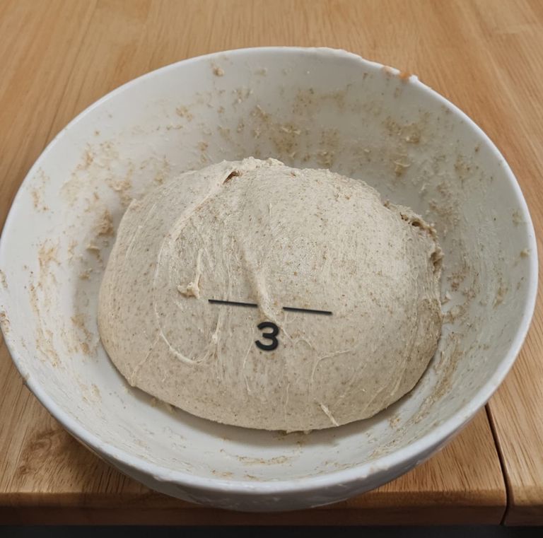 My first attempt of making sourdough bread. Kneading a smooth ball of dough on a floured counter
