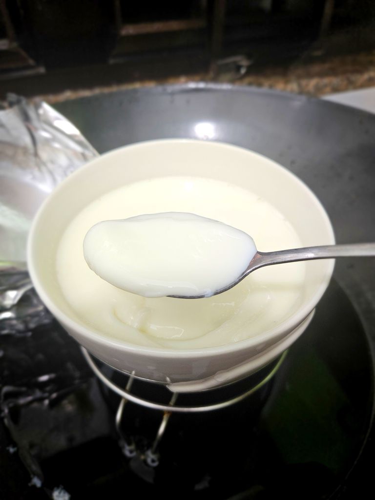 Silky steamed milk pudding result